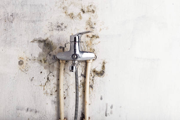 Water Damage Restoration in Osgood, IN